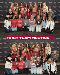 Arizona Cardinals Cheerleaders (@azcardscheer) - Instagram