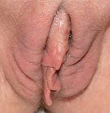 Close up Pussy Shots On Yuvutu Homemade Amateur Porn Movies And XXX Sex  Videos