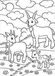 dessin a colorier des chevres dans un pre fleuri licorne pages de coloriage disney chevre hulk