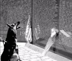 Nov 17, 2016 · at the end of war dogs (2016): Pin On Awesome Dogs