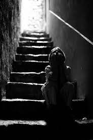 Black Beauty Free Photo Gallery White Photography Black And White Photographs Black And White Photography