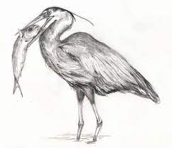 Pencil Drawing Of A Heron Dancing Drawings Drawings Humanoid Sketch