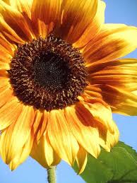 Two Lives Einklang Kunstler Werkstatt Atelier Heute Am Morgen Gegen 10 Uhr Im Garten In 2020 Garten Uhr Atelier