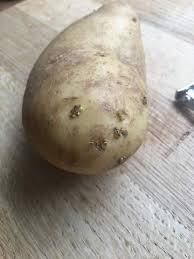 Kann Man Diese Kartoffel N Noch Essen Gesundheit Und Medizin Ernahrung Nahrung