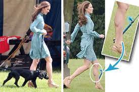 Ein hund aus der sächsischen provinz soll in den buckingham palace einziehen, als geschenk zur hochzeit von william und kate. Kate Middleton Ihr Susser Hund Lupo Halt Sie Fit