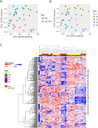 View topics in the all topics section of sts cardiothoracic surgery. Molecular Profiling Of Thymoma With Myasthenia Gravis Risk Factors Of Developing Myasthenia Gravis In Thymoma Patients Lung Cancer