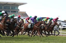 De bromhead and blackmore's randox grand national victory with minella times is the pinnacle of a successful partnership going back to 2018/19. 0t47dnmiqecyfm