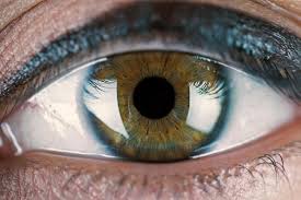Examine your eye in a mirror. Irregular Corneal Astigmatism And Scleral Lenses Weston Contact Lens Institute