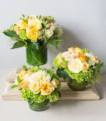 We did not find results for: Forget Me Not Club Red Square Flowers Floral Subscription