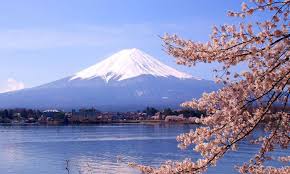 Dengan bunga tulip dan nemophila pada musim semi dan poppy di musim panas, anda dapat menikmati pemandangan gunung fuji yang indah pada musim semi, sakura di daerah ini mekar dan memberikan pemandangan yang sangat indah. Spot Terbaik Menikmati Pemandangan Indah Di Gunung Fuji Okezone Travel