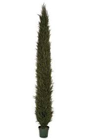 Plastic Cypress Tree