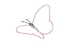 The images above represents how your finished drawing is going to look and the steps. How To Draw A Butterfly Flying Step By Step Easy Animals 2 Draw