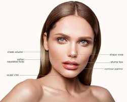 Shade Plants For Pots Renna Media