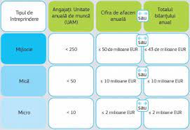 Certificat de clasificare certificate of classification / certificat de classification valabil pānā la data Util Cum Te Incadrezi In Categoriile Imm Pentru A Putea Obtine Fonduri Europene Descarca Manualul Complet In Limba Romana