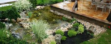 15 Kolam Ikan Minimalis Ini Pasti Buat Suasana Rumah Makin Ceria