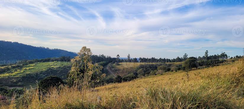 Paisagem de natureza densa e isolada representando o interior do Brasil e o isolamento de Quain