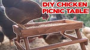 How to build a picnic table for your pet chickens. How To Build A Chicken Picnic Table Easy Diy Chicken Picnic Table Youtube