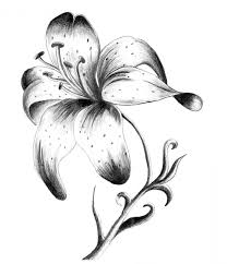 40 Idees De Tatouage Fleur De Lys Et Son Signification Mode Et Beaute Tatouage Zenidees Idees De Tatouages Fleurs Tatouage Fleur De Lys Croquis De Fleurs