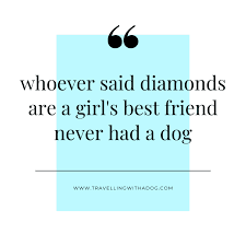 Dog quotes love quotes collections. Osnonwjyp Owtm