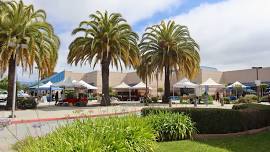 El Mercado Farmers Market