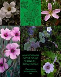 Image result for Geranium aculeolatum