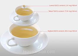 Teabags Whole Leaf Teas Tea Guardian