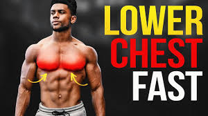 What that means is that instead of targeting the chest muscle as a whole, you are specifically targeting the upper chest. The 4 Best Lower Chest Exercises No Weights Needed Youtube