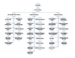 Executive Branch Flowchart