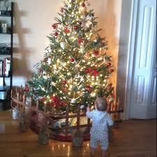 Perfect for anyone on a budget and trying to save money or those in search of unique decorations that don't look like everyone else's. Keep Christmas Tree Away From Baby My Diy Christmas Tree Baby Gate Landscape Edging Held T Childproof Christmas Tree Diy Christmas Tree Christmas Tree Gate