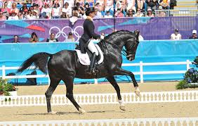 Anky van grunsven salinero individual olympic gold medal athens 2004 dressage. Great Dressage Horses Anky Van Grunsven S Salinero