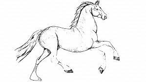 Wie Man Ein Pferd In Einem Einfachen Bleistift Schritt Fur Schritt In Bewegung Bringt