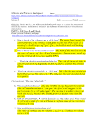 The science behind each concept is explained by: Mitosis Meiosis Webquest Answers Biol 4940 Biology Internship Studocu