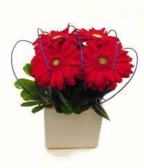 Today, flowers remain a welcome substitute for words, enhancing the giver's message with every flower has a meaning, and can convey certain emotions, thoughts, or moods to the recipient. Flowers That Exude The Spirit Of July 4th Eastern Floral Eastern Floral