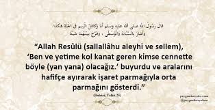 gaye i hayal gayei hyl twitter