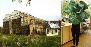 Le Petit Coin De Paradis D Une Famille Vivant En Autosuffisance Dans Une Maison Serre 20 Photos Maison Autosuffisante Maison Ecologique Maison Toit Terrasse