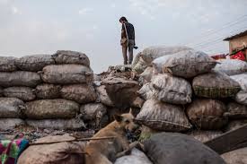 Reuters journalist danish siddiqui was killed on friday while covering a clash between afghan security forces and taliban fighters near a border crossing with pakistan. Bio Danish Siddiqui