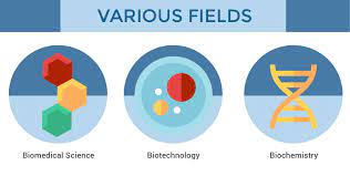 As such, biomedical science is a profession that will continue to expand especially in malaysia where there has been rapid growth in the healthcare system. Bioscience Degree Courses In Malaysia Eduadvisor