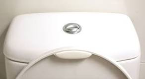 Easy Ways To Fix Common Dual Flush Toilet Issues