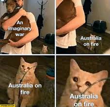 An Imaginary War Vs Australia On Fire Dog Sad Cat Crying Starecat Com