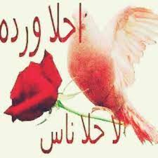 صور صباح الخير حبيبي احلى تحية صباح بالصور good morning quotes beautiful morning morning quotes