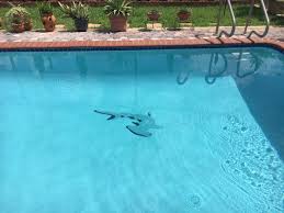 Pin On Inground Pools