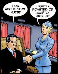 Last Kiss By John Lustig For October 14 2009 Gocomics Com In 2021 Airline Humor Flight Attendant Humor Aviation Humor