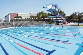 Check spelling or type a new query. La Alberca Olimpica Universitaria Joya Deportiva Segura Y Divertida Gaceta Unam