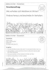 Während zahlreiche vögel den winter in südlichen gefilden verbringen, überwintern bestimmte vogelarten in unseren breiten. Haufigste Suchbegriffe