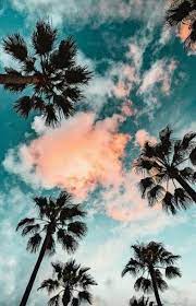 21 Ideas Photography Beautiful Nature Travel For 2019 Fondo De Pantalla Iphone Verano Fondos De Pantalla Wallpapers Fondos De Pantalla Palmeras