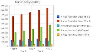 Insurance Agency Business Plan Market Analysis Summary