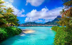 Maybe you would like to learn more about one of these? Hd Wallpaper Bora Bora French Polynesia Nature Landscape Beach Sea Palm Trees Island Resort Summer Tropical Mountain Wallpaper Flare