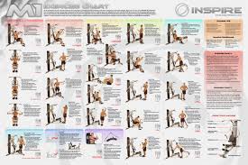 31 Rational Weider Home Gym Exercise Chart