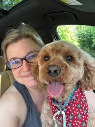 Golden doodles bring joy to life