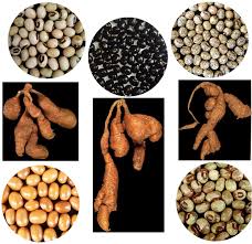 Image result for Sphenostylis